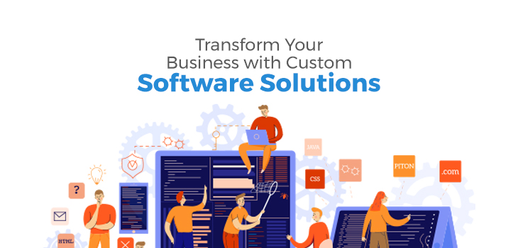 custom-software-development-company-in-delhi